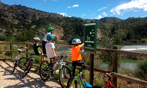 famille de vélos de route