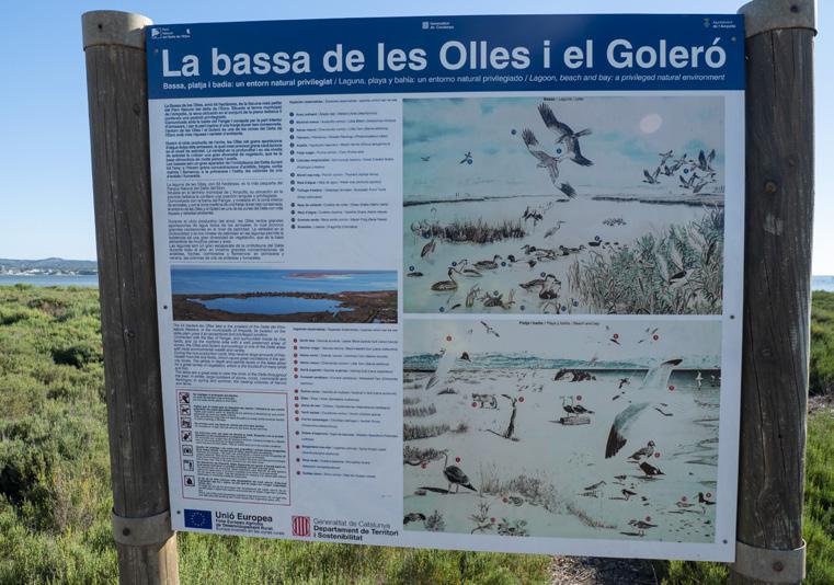 Àrea de serveis de la Bassa de les Olles