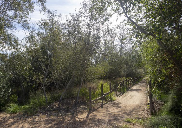 Bosquet de la Comandanta