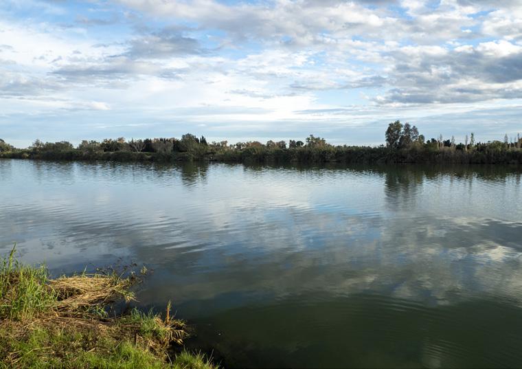 Mirador Molí dels Mirons
