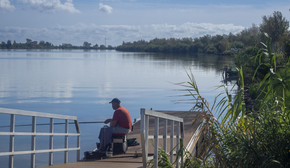Pêcheur dans l'Èbre
