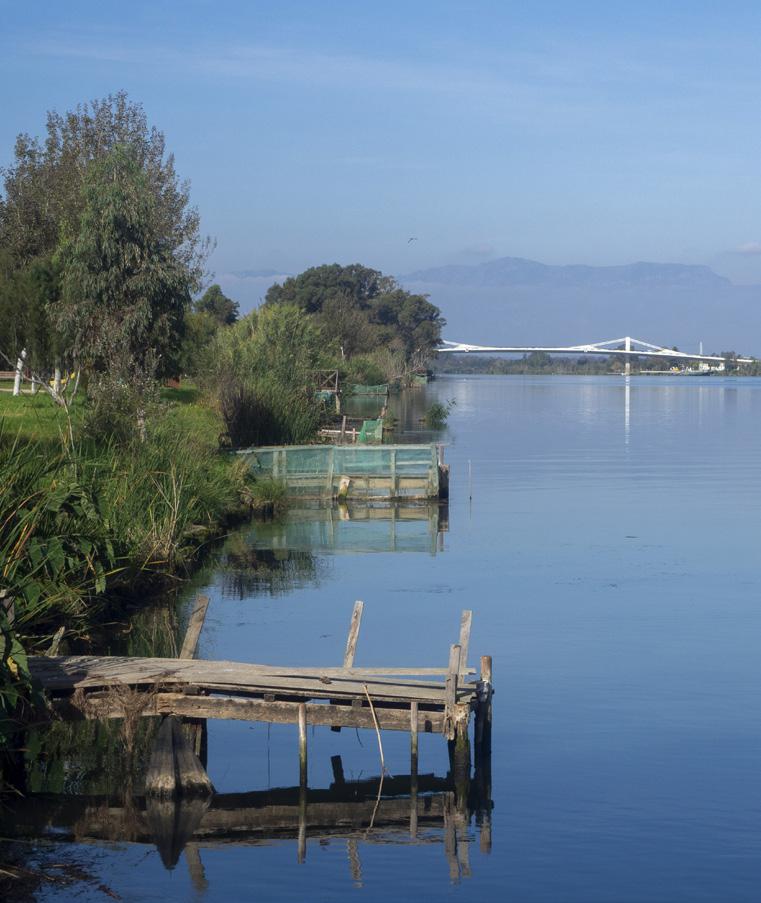 Pont de l'Èbre et de Pasador
