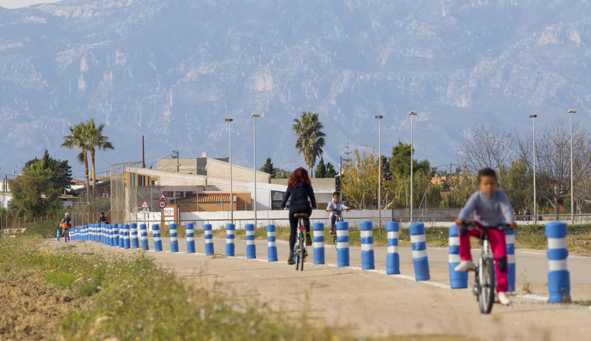 Camí cap a Eucaliptus