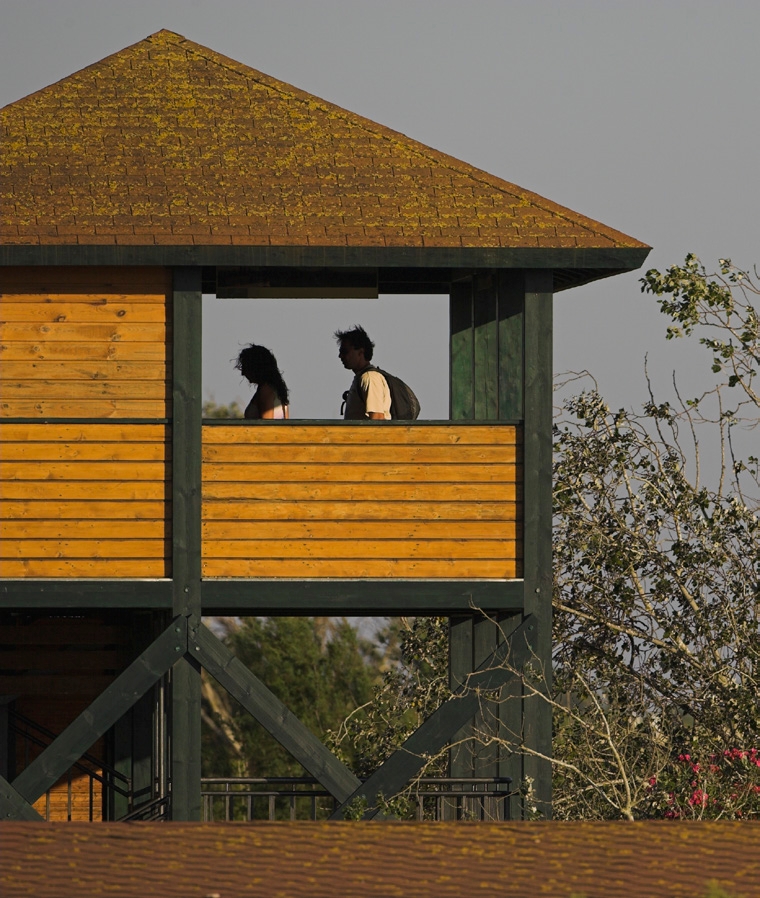 Viewpoint over the Encanyissada