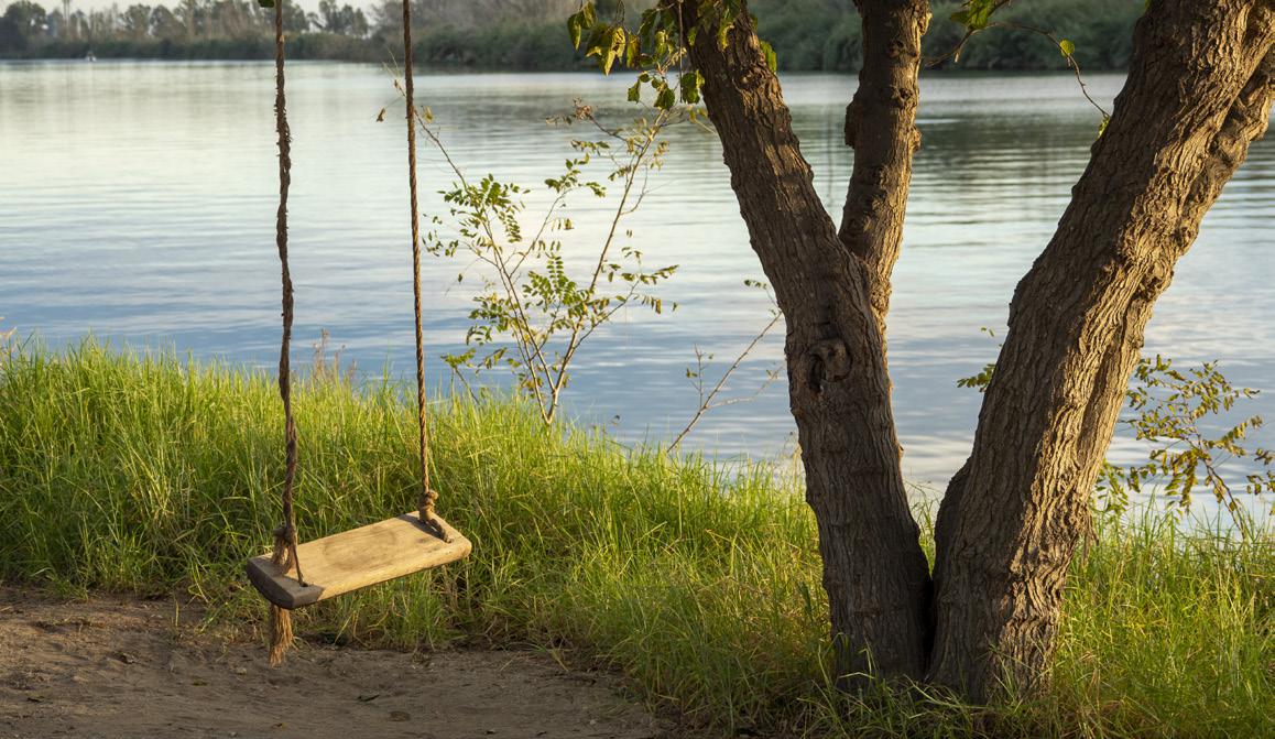 Curios gronxador de fusta penjat dun arbre
