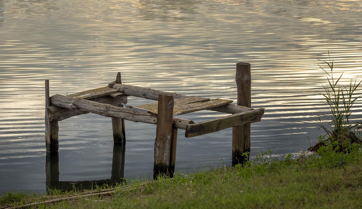 Detall destructura de fusta a peu de riu