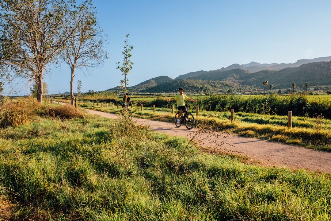 Mirador sobre l’Encanyissada